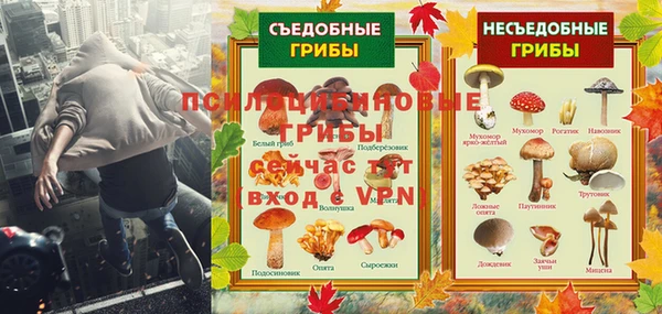 ALPHA-PVP Богородицк