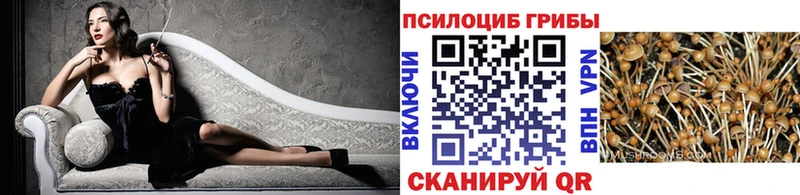Псилоцибиновые грибы Cubensis  наркотики  Бологое 